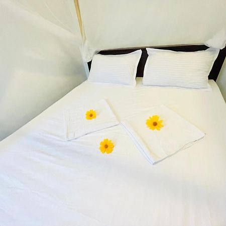 ホテル White Hill House Hiriketiya ディックウェラ エクステリア 写真